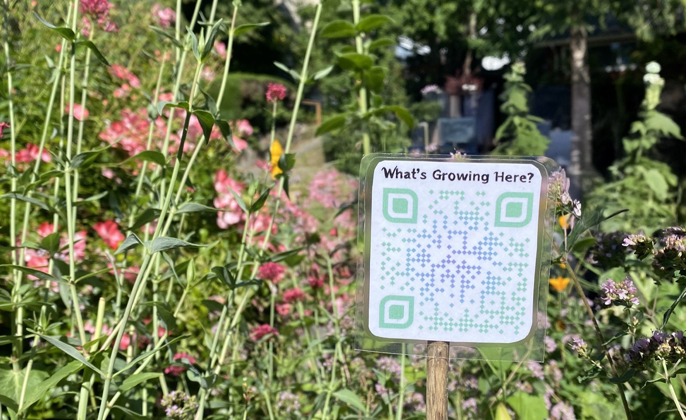 What's Growing Here app showing a garden's plant list with photos and Latin names
